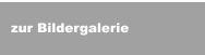 zur Bildergalerie